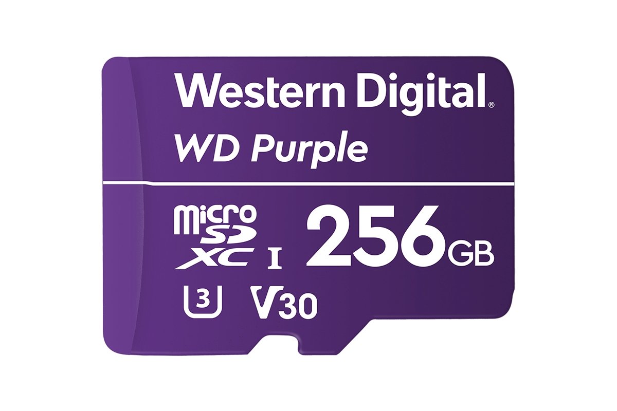 256GB Surveillance-grade microSD card (Compatible with Lorex Home Center Only) - Lorex Technology Inc.