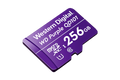 256GB microSD Card (Surveillance Grade)