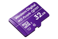 32GB microSD Card (Surveillance Grade)