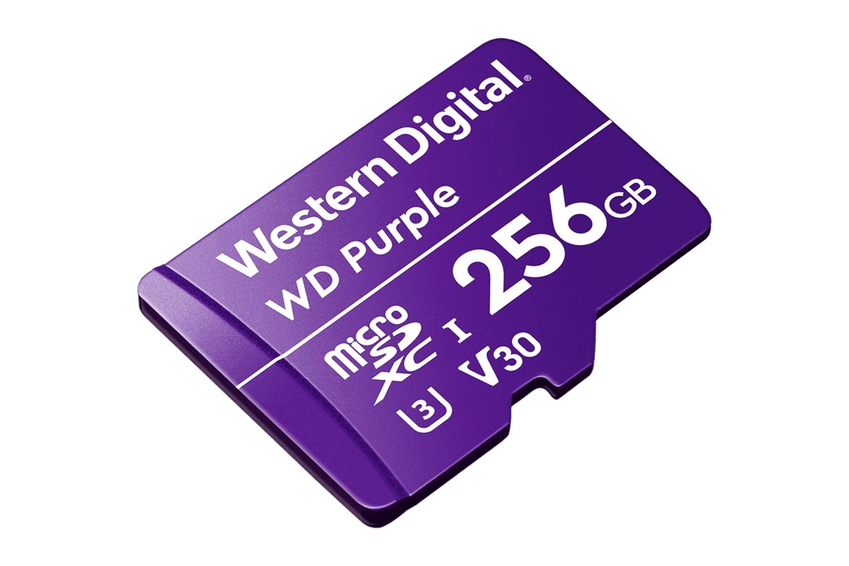 256GB Surveillance-grade microSD card (Compatible with Lorex Home Center Only) - Lorex Technology Inc.